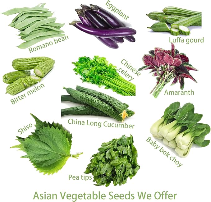 Bundle: Oriental Yard Long Pole Bean Seeds + Shanghai Baby Bok Choy/Pak Choi Seeds for Planting