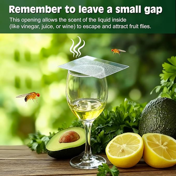 LFSYS Double-Sided Sticky Trap Covers for Fruit Fly Traps – 25 Pack Adhesive Cards for Fruit Fly – Clear, Mess-Free, Indoor Use