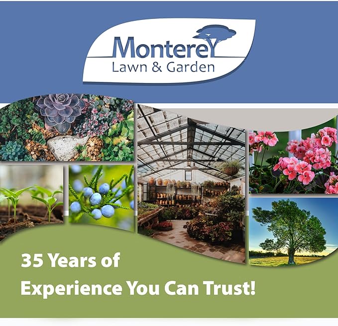 Monterey Codling Moth Trap & Lure - Organic, Pesticide-Free Fruit & Nut Tree Control for Apples, Pears, Walnuts, and Quince