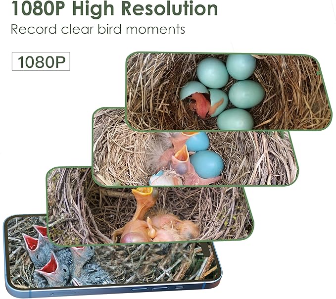 Birdkiss Smart Bird Houses for Outside Solar Powered, 1080P HD Live View Birdhouse with Camera, Perfect Viewing Bird Nesting and Hatching, Ideal Outdoors Bird House for Blue Bird and Cardinal (Green)