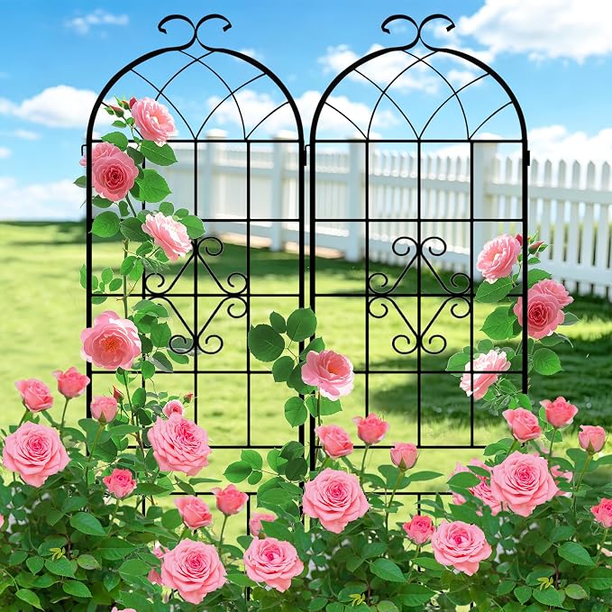 LZRS 2 Pack 78.7x20in Rustic Iron Arch Decoration Garden Trellis with Black Metal Coating – Perfect for Supporting Climbing Plants Outdoor, Roses, Vines, Flowers, and Vegetables.