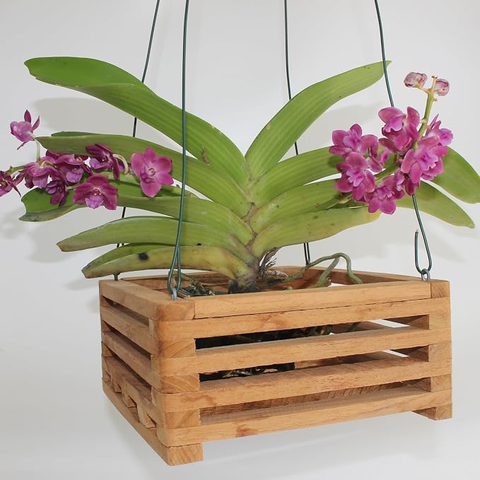 Set of 2 Wooden Orchid Baskets with Hangers, Hanging Vanda Baskets for Outside