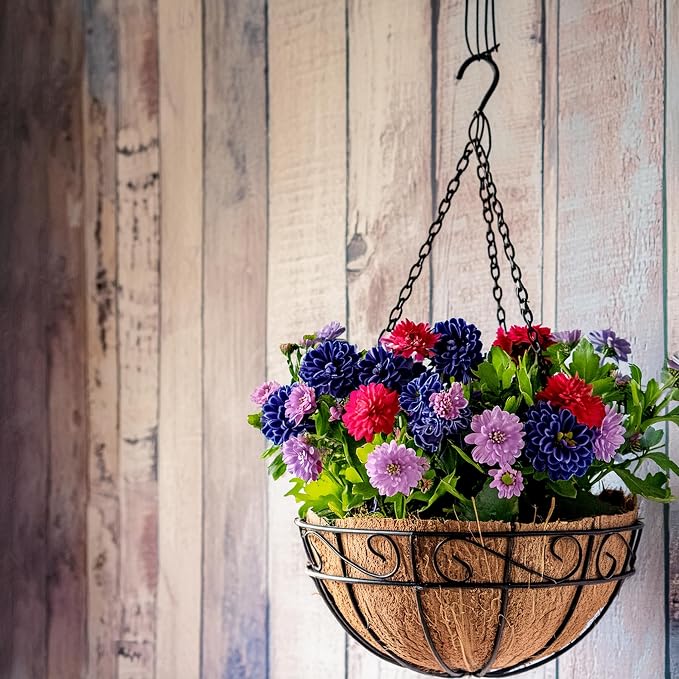 Ashman 16 Inch Metal Hanging Planter Basket with Coco Coir Liner Round Wire Plant Holder Chain Porch Decor Flower Pots Hanger Garden Decoration Indoor Outdoor Watering Hanging Baskets (4 Pack)