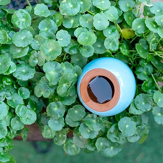 MOUGIGI 4-Pack Self Watering Planter Insert - 2 Blue and 2 Green Ceramic Watering Globes for Indoor Plants, Terracotta Bulbs, and Small Plant Pots - 300ml Capacity, 1 Weeks Autonomy