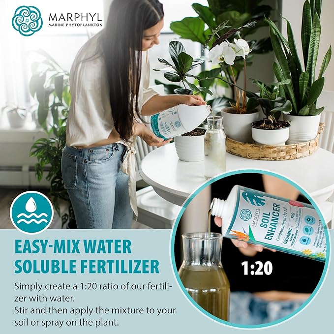MARPHYL Plant Fertilizer Houseplants and Garden - Marine Phytoplankton Soil Improver and Hydroponic Fertilizer for Grasses, Bamboo, Succulents, & Vegetables - Organic Plant Liquid (Pack of 2)