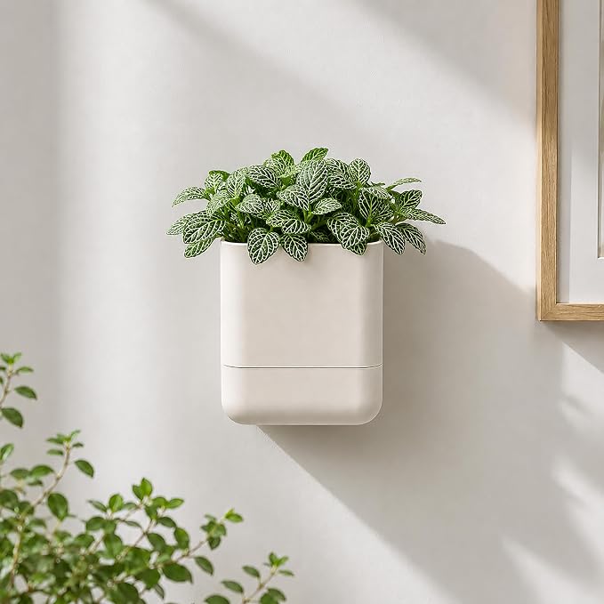 Phoenix Vine 3.5 Inch Wall Mounted Self-Watering Planter Pot for Indoor Houseplants and Herbs | Hanging Planter for Window Sills, Bathroom Walls, Home & Office Décor, Oatmeal, Set of 6, 01-A-G-6