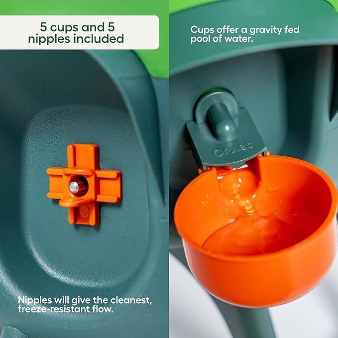 Omlet Insulated Chicken Waterer, 3 Gallon | Stay-Clean Automatic Water Dispenser for Chickens | BPA-Free | Anti-Roost Domed Lid | Includes 5 Cups & Nipples | Sage Green