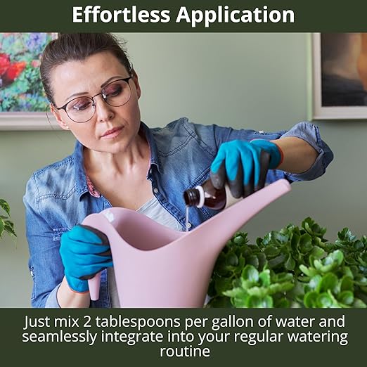 GARDENWISE 3-1-2 African Violet Fertilizer for Indoor Plants: Liquid Fertilizer with Essential Micronutrients Drops - Plant Food for African Violets (16 OZ)