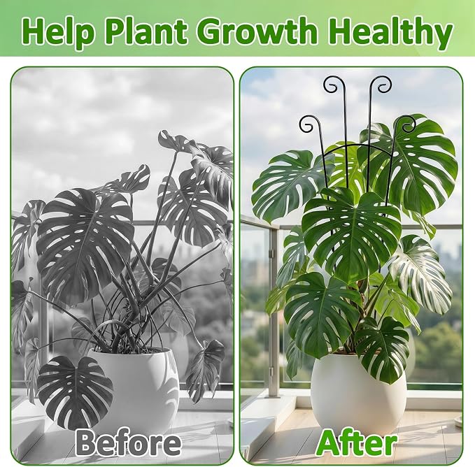 Monstera Plant Support - 32.6 Inch Tall Trellis with 2 Pack Plant Stakes for Your Large Climbing Monstera Deliciosa | Indoor Plant Climbing Frame for Potted Growth