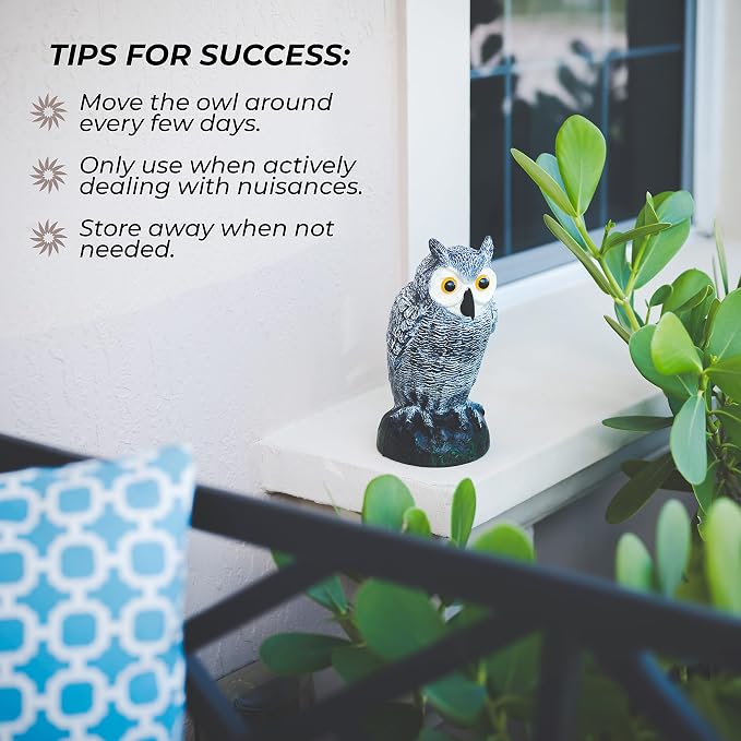 Owl Decoy to Scare Birds Away, Plastic Owl Statue for Garden & Outdoors, Set of 2