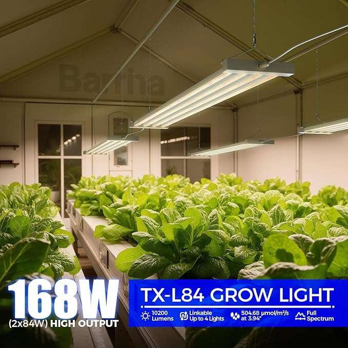 Barrina TX-L84 4FT Grow Light, 168W (2 x 84W), 4 LED Panels Wider Coverage, Full Spectrum with 730nm IR LEDs, High PPFD, Linkable, Hanging for Plant Light Indoor, Seeding, Vegetable, Flowers, 2 Packs