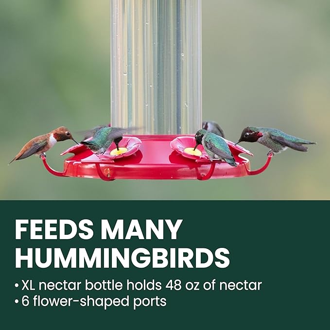 Perky-Pet 220 The Grand Master 48-Ounce Hummingbird Feeder