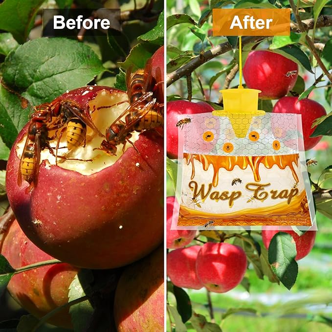 6 Pack Disposable Wasp Traps Outdoor Hanging Carpenter Bee Traps for Outside Yellow Jacket Trap Hornet Trap Wasp Catcher for Bug Flies Patio Garden