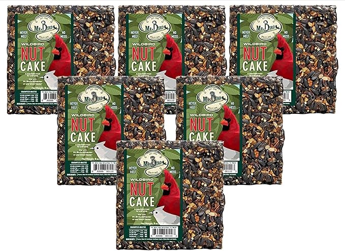 JCs Wildlife 6-Pack Mr. Bird Nut Cake, 8 oz