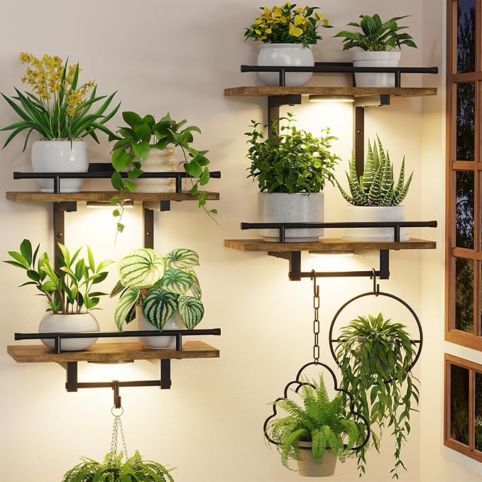 iDavosic.ly Wall Plant Holder with Grow Lights Set of 2, 2 Tier Indoor Floating Shelves with 4 Hooks for Hanging Plants, Wall Mounted Space Saving Display Stand (Pots/Chains Not Included)
