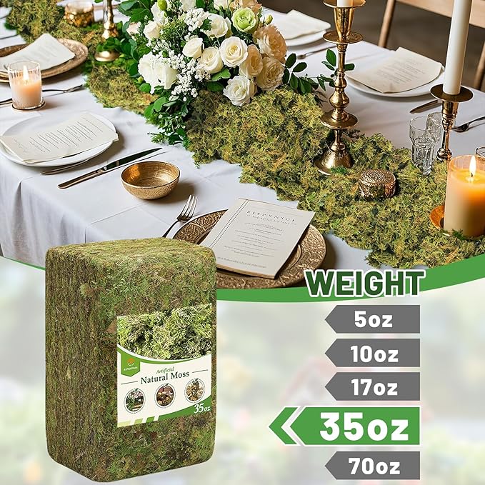Alphatool 35oz Jumbo Pack Natural Green Moss for Crafts - Bulk Moss for Plants Indoor, Artificial Fairy Gardens, Mosswall, Filling Fake Plants, Floral Design, Home Decoration, Professional DIY Use