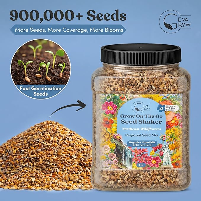 Regional Wildflower - Northeast USA Wildflowers - 100% Pure Seed - Organic, Non-GMO - 21 Wildflower Variety Seeds of Annual & Perennial, 1 LB Tub