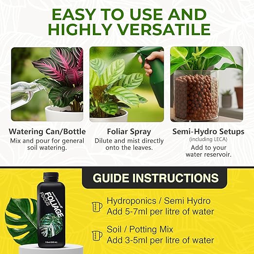 Growth Technology GT Foliage Focus - Liquid Indoor Plant Food for Houseplants, Tropical Plants, Aroids, Ferns and Palms – Concentrated Formula for Vibrant Leaves and Dense Foliage – 1 Quart (946 mL)