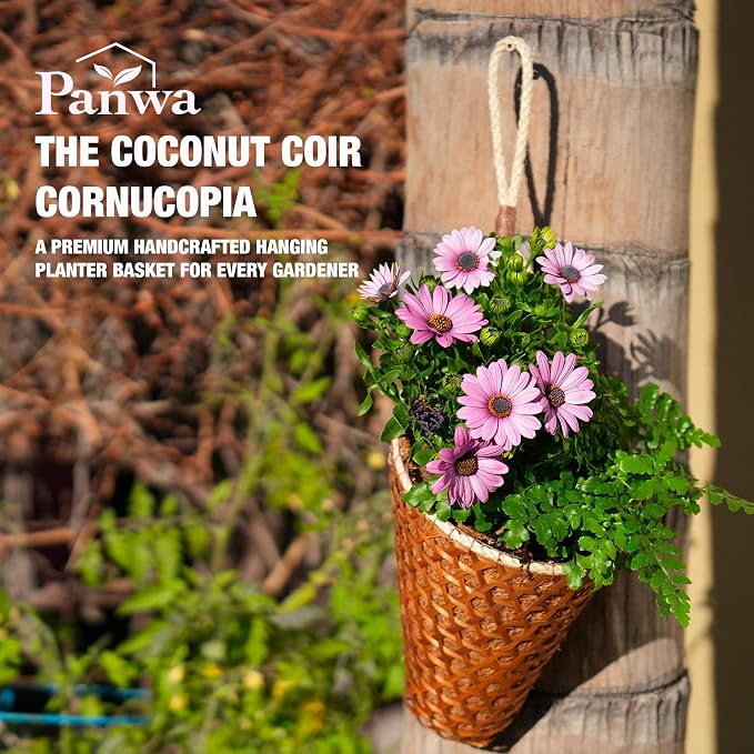 Thai Coconut Fiber Hanging Basket Planter for Indoor Outdoor Patio Summer Decoration, 6 Inch, 2-Pack