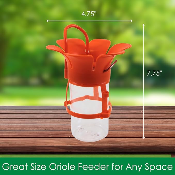 Songbird Essentials Jelly Bird Feeder, Oriole Feeder, Easy to Fill with Jelly or Jam, Plastic Jar Included. Fits Most 10-12 Ounce Jelly Jars
