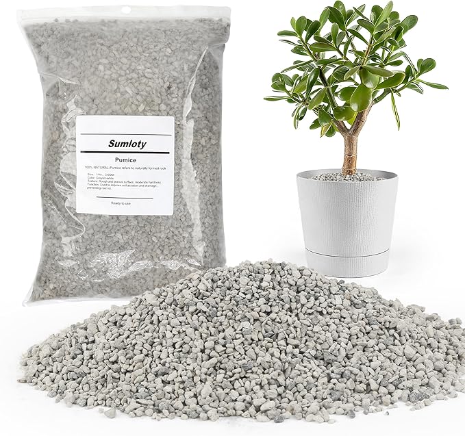 Pumice for Plants, 3 Quarts (1/4 Inch) Horticultural Pumice Stone, Natural Soil Amendment for Succulent Cactus Bonsai for Orchid Potting Mix, Improve Drainage & Aeration