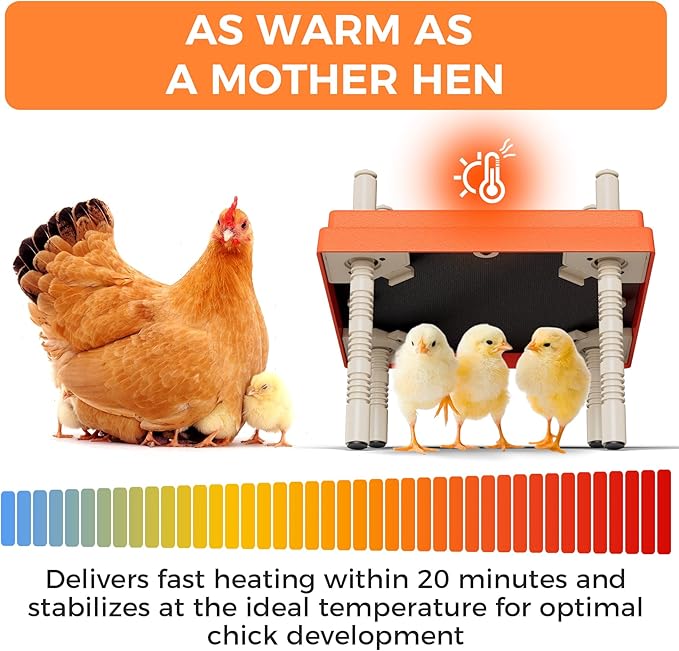 Smart Chick Brooder Heating Plate 10"x10" with Digital Temp Control (95℉-149℉), Stepless Adjustable Height & Anti-Roosting Cone, Mother Hen Chick Heater for Up to 15 Chicks