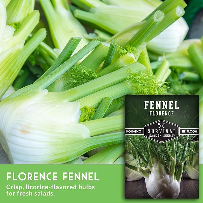 Fennel Seed for Planting - 3 Packets with Instructions to Grow Cool-Weather Florence Fennel (Finnochio) in Your Home Vegetable Garden - Non-GMO Heirloom Variety - Survival Garden Seeds