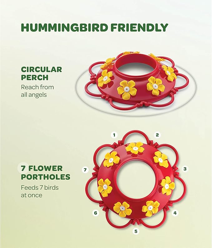 Hummingbird Feeder 20 oz [Set of 2] Glass Hummingbird Feeders for Outdoors, with Built-in Ant Guard - Circular Perch with 5 Feeding Ports - Wide Mouth for Easy Filling/2 Part Base for Easy Cleaning
