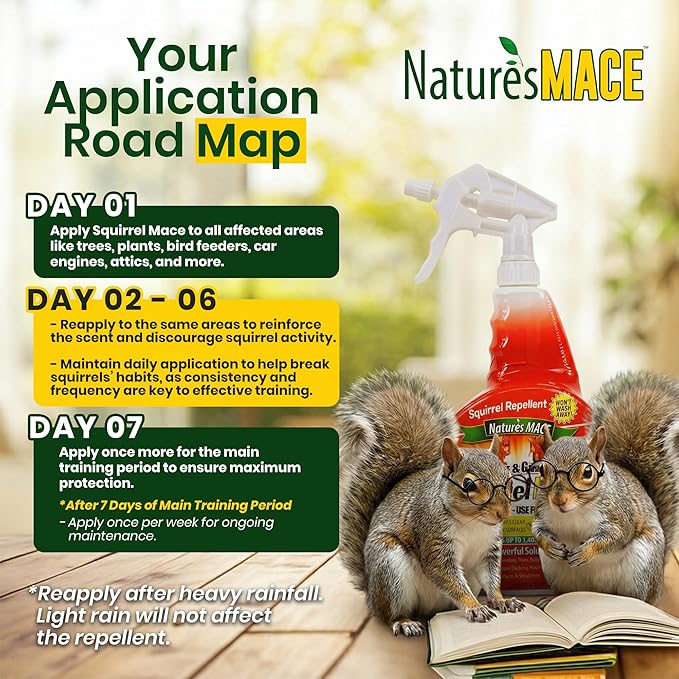 Nature's Mace Squirrel Mace, Squirrel Repellent Outdoor, 40 Ounce Spray, Squirrel and Chipmunk Repellent, Keep Squirrels Out of Your Garden, Attic, Bird Feeders, Fruit Trees, Plants, Potted Plants