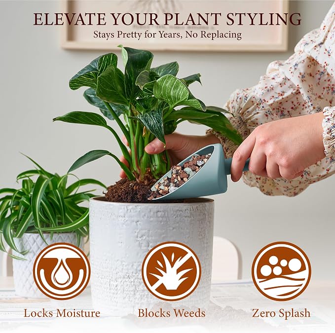 2.5LB Lava Rocks for Plants-3/8 Volcanic Rock for Succulent Potting Mix, Cactus, Orchids & Bonsai-Porous Horticultural Grit for Drainage, Aeration & pH Balance - Decorative Top Dressing