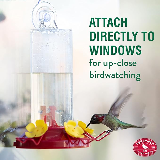 Perky-Pet Plastic Window Mount Hummingbird Feeder with Perches - 8 oz Hummingbird Nectar Capacity, 217 - Hummingbirds feeders for Outdoors, (Pack of 2)