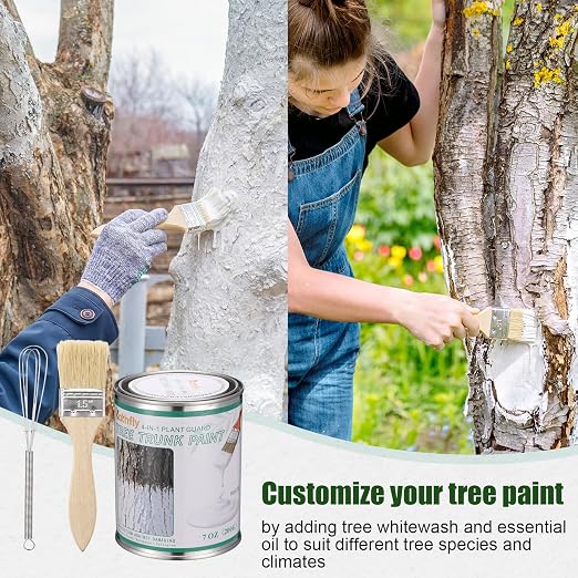 Kathfly 1 Pack Tree Paint Kit Tree Whitewash Trees Trunk Protection with Tinplate Container Whisk Brush for Fruit Nut Ornamental Trees Sapling Garden Yard Orchard (7" Whisk,Regular Wood Handle Brush)