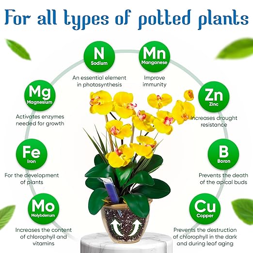 All-Purpose Liquid Plant Food Fertilizer (12-Pack) | Indoor House Plants & Outdoor Flowers | Bloom Booster Nutrient Solution for Vibrant Growth & Strong Roots | Made in The USA