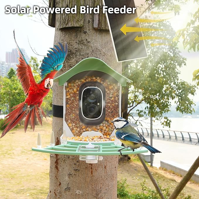 Bird Feeder with Camera, AI Identify Species, Smart Feeder Camera Bird Videos & Instant Notifications, Ideal Gift for Birds Lover