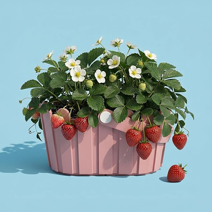 Buzzy Seeds Strawberry Grow Kit Pink Picket Fence Berry Basket with Grandian Seeds, Indoor Planting Starter Kit, DIY Garden Project, Gardening Gift for Women