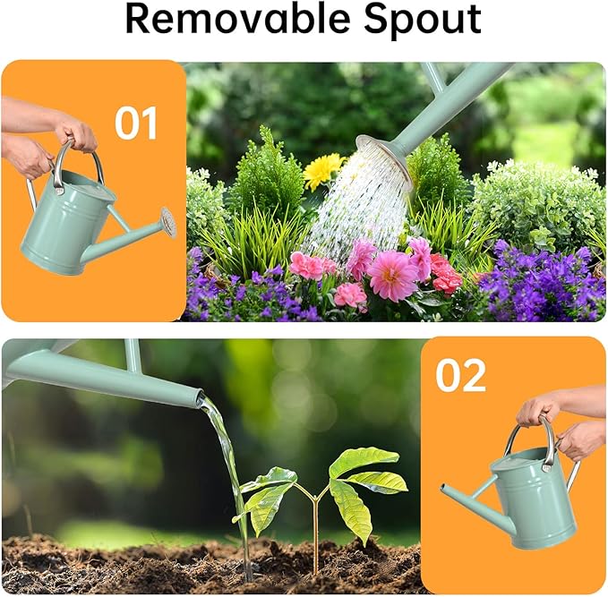 Metal Watering Can for Outdoor Plants, Galvanized Steel Watering Can with Removable spout, 1 Gallon,Perfect Home & Garden Décor Cream Green