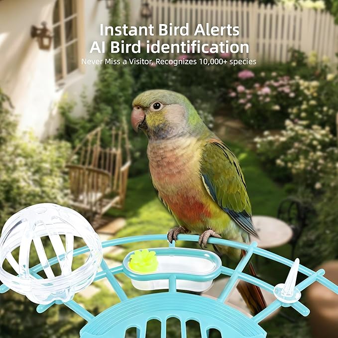 Bird Feeder with Camera,AI Identify Birds Species,Solar Powered,Auto Record Videos in Backyard,Instant Notifications,Ideal Gift for Family and Bird Lovers (Blue)