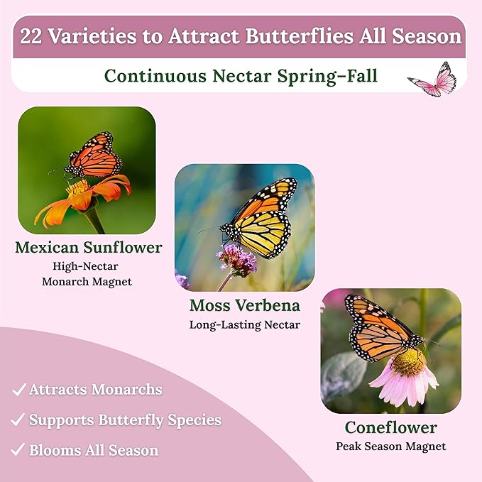 Wildflower Seeds for Bees & Butterflies – 22 Variety Pollinator Mix – 160,000+ Seeds – 4 oz Annual & Perennial Blend