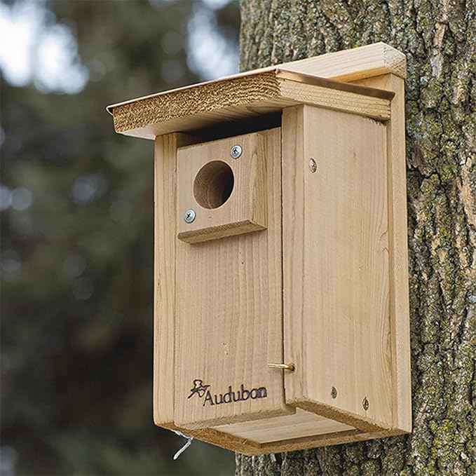 Audubon Coppertop Cedar Wood Bluebird House Model NACOPBB