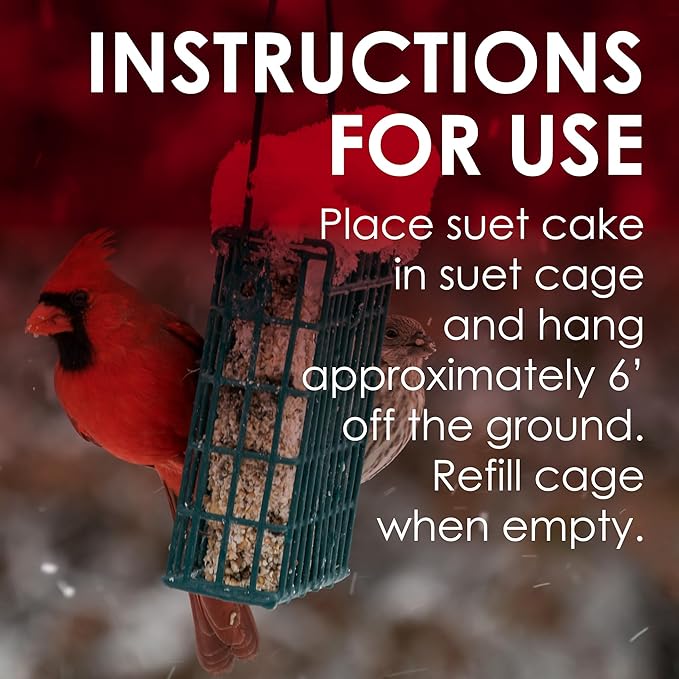 Heath Outdoor Products DD-27 Cranberry All Season Blend 11-1/4 Ounce Suet Cake (12 Cakes/Case) (Pack of 2)