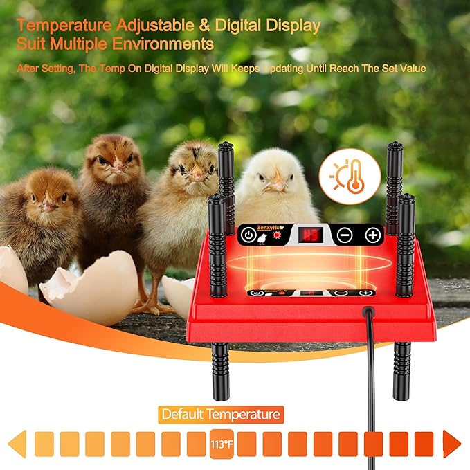 ZenxyHoC Brooder Plate for Chicks with Anti-Roost Cone, Chick Brooder Heater Red 10" x 10" with Digital Display Temperature Control