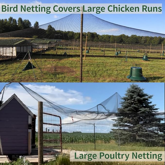 50x50ft Bird Netting for Chicken Coop 1 inch Mesh Heavy Duty Chicken Netting Animal Barrier, Poultry Netting Roof Cover for Chicken Run, Bird Net for Fruit Tree Against Birds Squirrels Rabbits