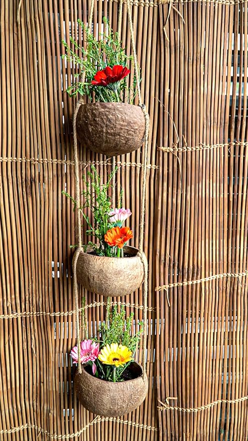 Rainforest Bowls 3-Tier Hanging Coconut Planter w/ Drainage Hole- Perfect for Succulents, Flowers, Small Plants, Indoor & Outdoor Gardens- Hand Carved by Artisans, Eco-Friendly & Sustainable