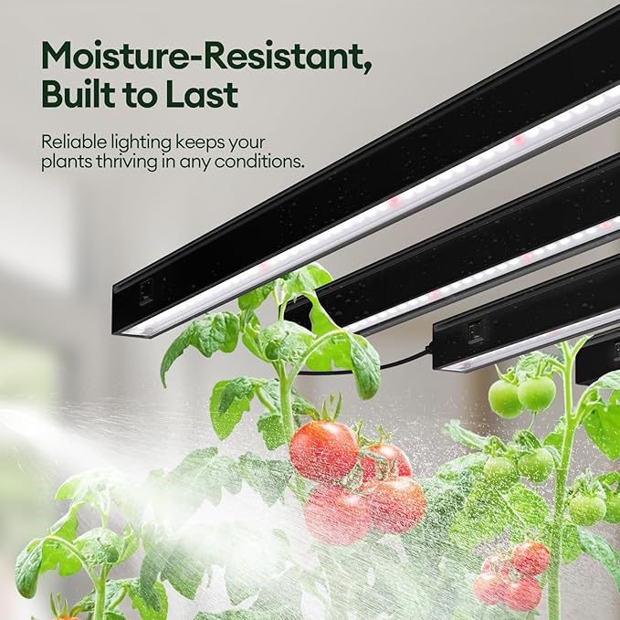 Maygrove T5 Grow Lights for Indoor Plants 2FT, Red-Enhanced Full Spectrum 5000K Grow Light, 60W(4 x 15W), Grow Light Strips for Seed Starting, Greenhouse, High PPFD, Linkable, Black, 4-Pack
