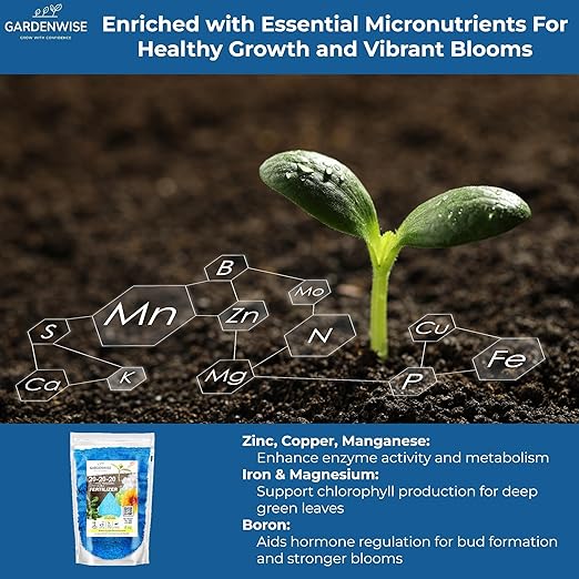 Gardenwise 20-20-20 Water-Soluble Fertilizer – Powder for Liquid Plant Food for Indoor & Outdoor Plants, Orchids, Vegetables, Lawns, Flowers – 20 20 20 Fertilizer 1 Quart (2 lbs)
