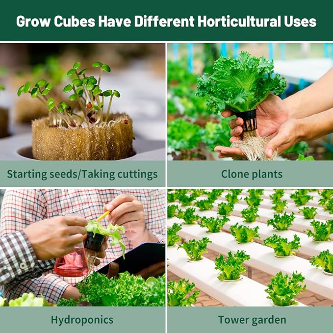 1" Rockwool Cubes for Hydroponics - (200 Plugs in Total) 4 Sheets Rockwool Grow Cubes for Rooting, Cuttings, Clone Plants, Starting Seeds, Ideal Rockwool for Hydroponic Growing