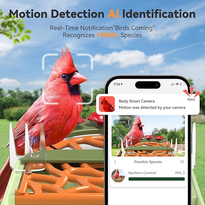 Rayki Solar Smart Bird Feeder with Camera, 2K HD Live Video with AI Identify Bird Species, Real-Time Motion Detection, Outdoor Watching Birdhouse