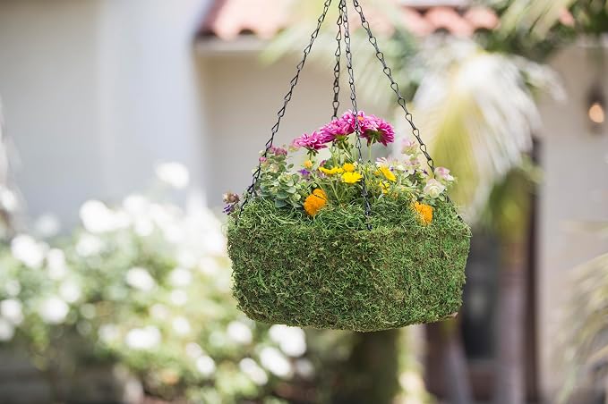 SuperMoss (29211) MossWeave Hanging Basket - Square, Fresh Green, Medium (12.5" Diameter)