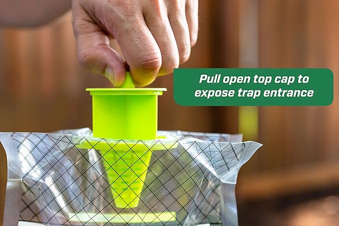 RESCUE! Disposable Summer Yellowjacket Trap - Mountain & Pacific Formula - 6 Traps