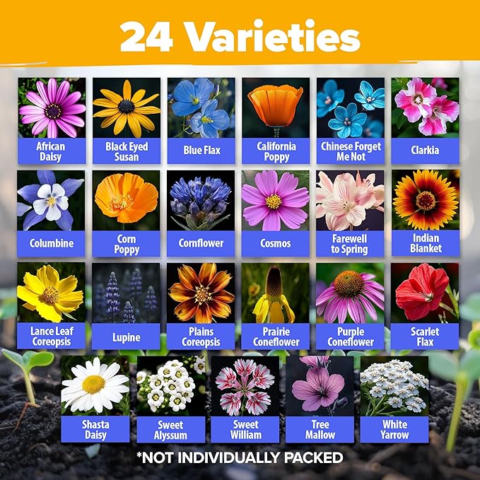 HOME GROWN 𝗨𝗦𝗔 𝗣𝗥𝗘𝗠𝗜𝗨𝗠 90,000+ Wildflower Seeds & Wildflower 134,000 & English Lavender Seeds 1,500